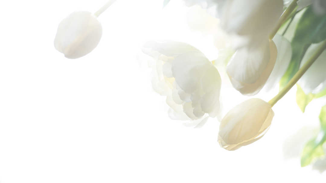 Easter-Roses-11-e1471457837461