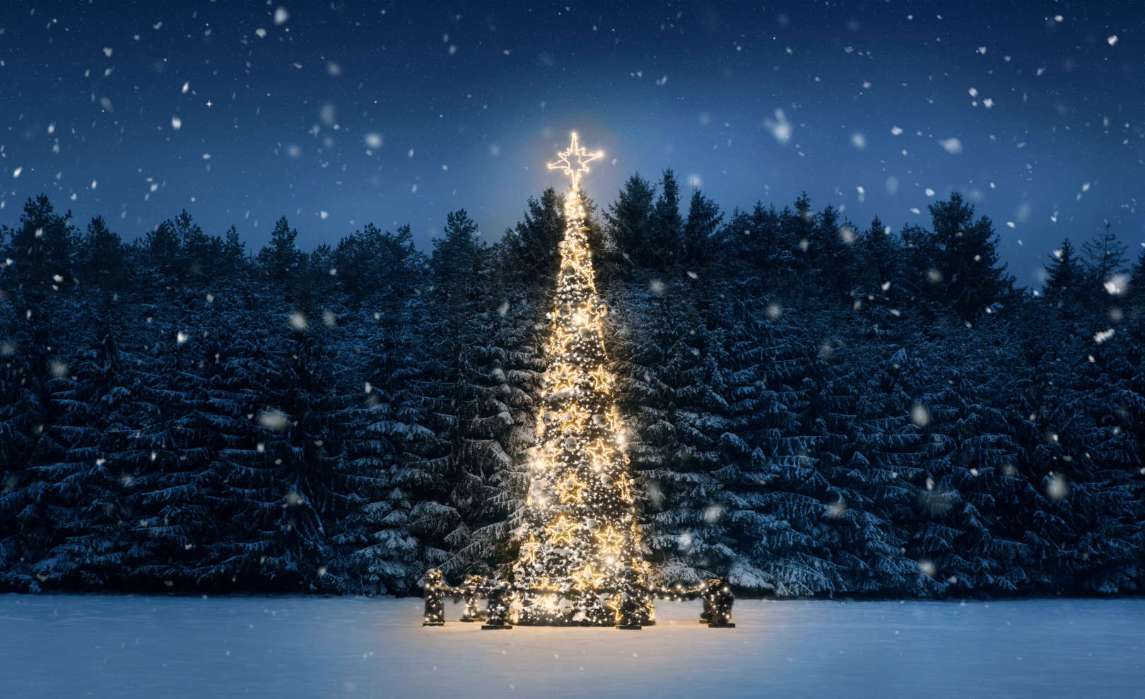 Christmas Serve | Church of the Nativity